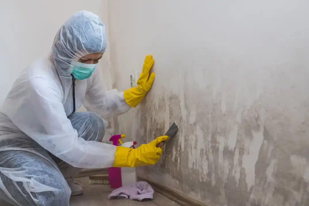 water damage restoration service Helderberg